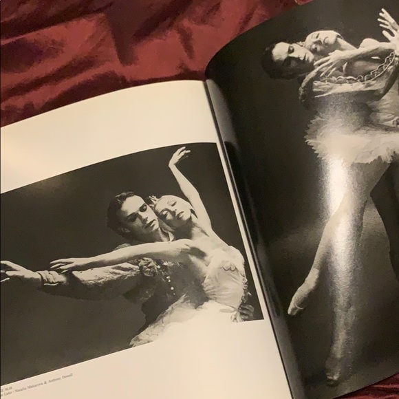 Large Paperback Book - Picture 8 of 8